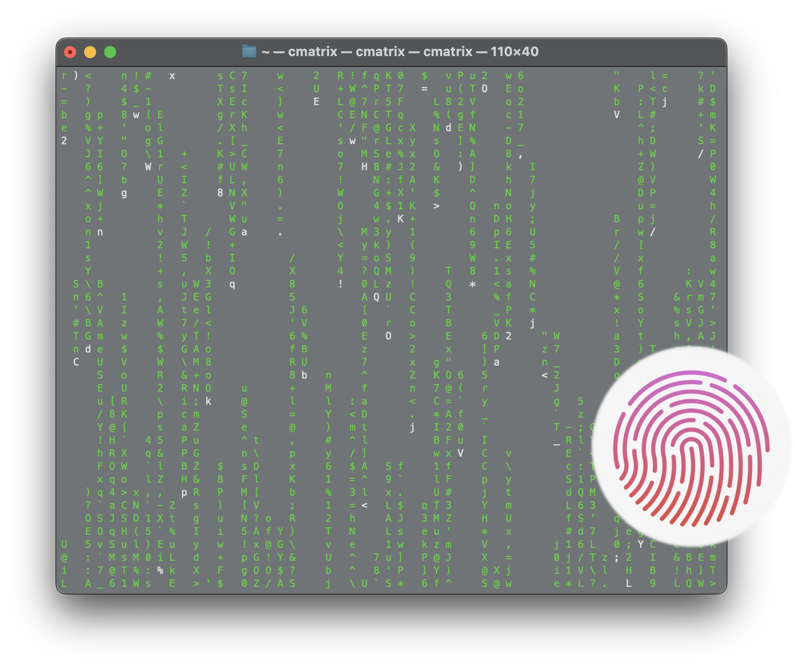 Apple Events Video Frame Terminal with Touch ID