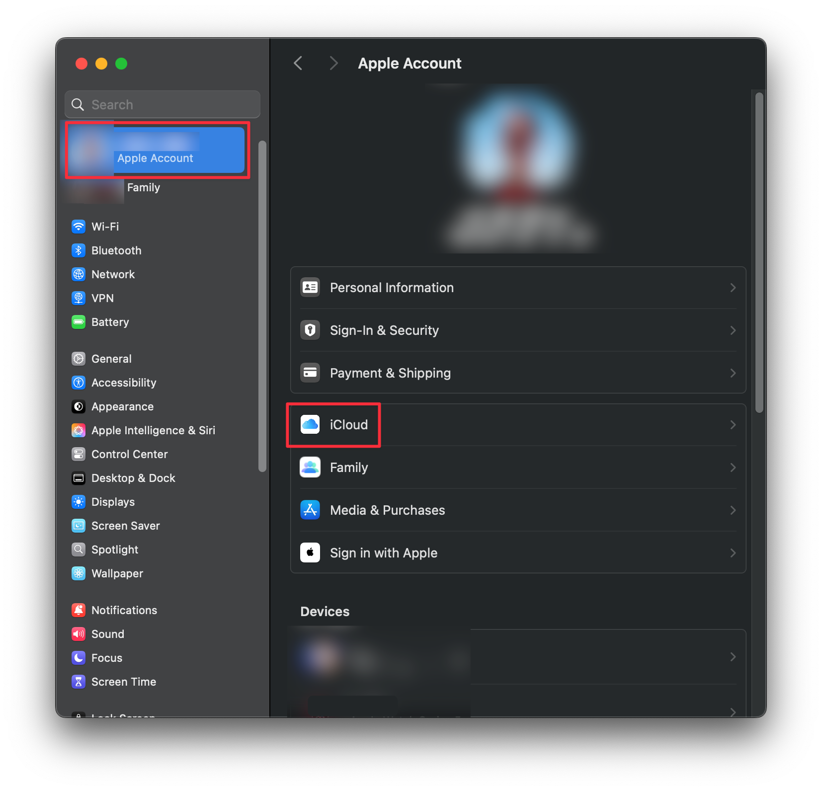 iCloud Settings